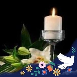 Meet your Posher, Lina